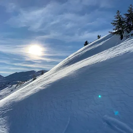 La Civetta Holiday home *